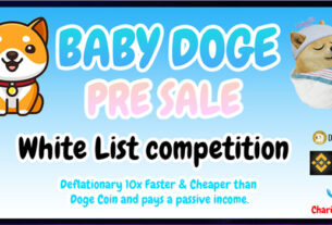 Baby Doge Coin Whitelist